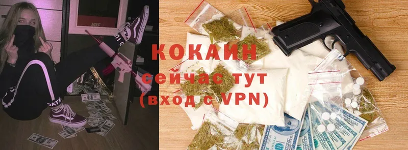 купить наркоту  Саров  MEGA ONION  Cocaine 98% 